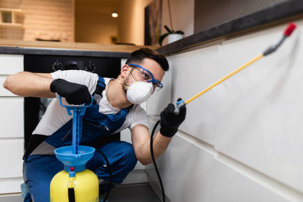 Best Pest Removal Services  in Jones Valley, CA