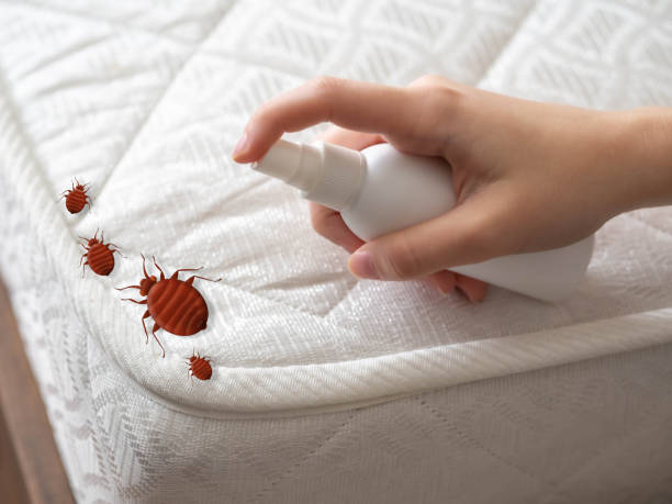 Best Best Pest Control Companies  in Jones Valley, CA