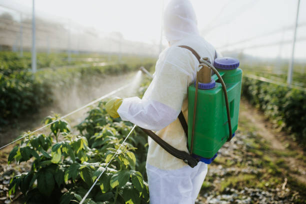 Best Pest Control Treatment  in Jones Valley, CA